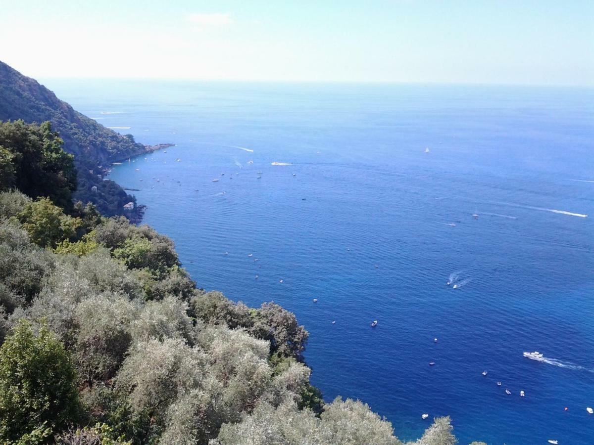 Casa Constanza Pace E Relax In Liguria Apartment Camogli Ngoại thất bức ảnh